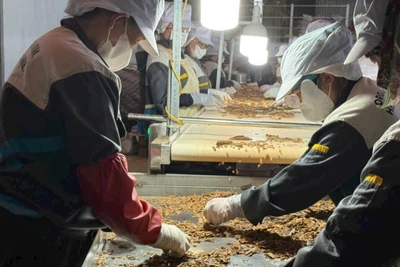 Sản xuất gia vị theo dây chuyền để xuất khẩu. (Ảnh: PV)