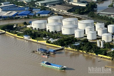 Việt Nam có nhiều tiềm năng về logistics. (Ảnh: HNV)