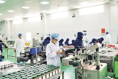 Khu vực sản xuất của Công ty cổ phần Tập đoàn Gia Bảo, tỉnh Đồng Nai.