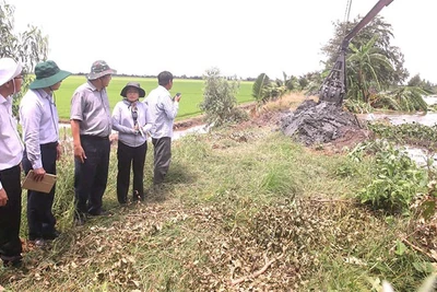 Báo Dân Xã Lãnh đạo Ủy ban nhân dân tỉnh Tây Ninh kiểm tra công tác phòng chống lũ tại các ô đê bao xã Vĩnh Châu.