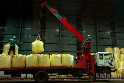 Trong 10 năm qua, Công ty Nhôm Đắk Nông-TKV đã đóng góp ngân sách Nhà nước hơn 4.204 tỷ đồng.