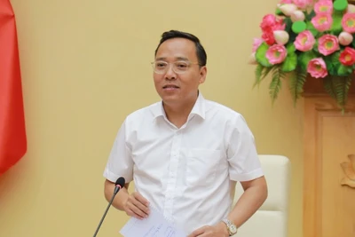 Thứ trưởng Bộ Công thương Nguyễn Hoàng Long. 