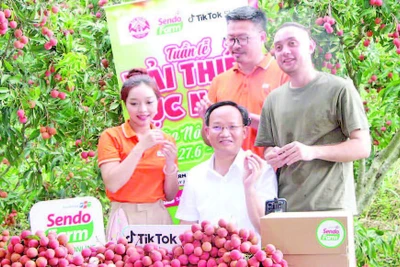 Phó Chủ tịch tỉnh Bắc Ninh Phạm Văn Thịnh (ngồi giữa) livestream bán vải thiều.