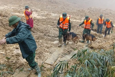 Quân khu 5 tiếp cận hiện trường trong điều kiện thời tiết vô cùng khó khăn. (Ảnh: Quân khu 5 cung cấp)