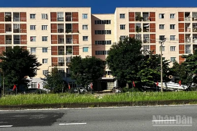36 khu chung cư tại Đà Nẵng sẽ áp dụng lộ trình tăng giá theo lộ trình 5 năm. (Ảnh: ANH ĐÀO)