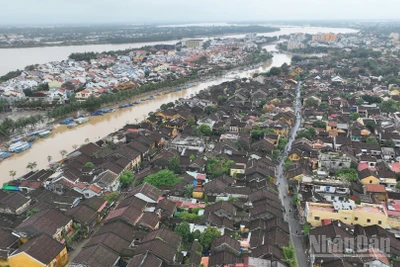 Phố cổ Hội An sáng 1/11.