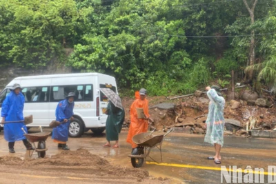 Lực lượng chức năng tiếp tục khắc phục các điểm sạt lở trên đường lên bán đảo Sơn Trà. (Ảnh: ANH ĐÀO)