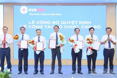 Lãnh đạo 6 Công ty điện lực mới được thành lập trên cơ sở sáp nhập các đơn vị hành chính nhận Quyết định do lãnh đạo EVNCPC trao tại buổi lễ. (Ảnh: ĐÌNH TĂNG)