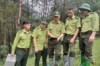 Lực lượng kiểm lâm tỉnh Sơn La phát huy tốt hiệu quả của thiết bị bay không người lái trong quản lý và bảo vệ rừng. (Ảnh: TUẤN NGHĨA)