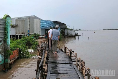 Người dân Khóm Sa Phô, xã Đất Mới, tỉnh Cà Mau thấp thỏm khi sống dọc tuyến sông Cửa Lớn, không biết nhà cửa sẽ bị sông nhấn chìm lúc nào. 