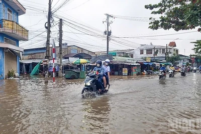 Triều cường. (Ảnh minh họa: Bá Dũng)