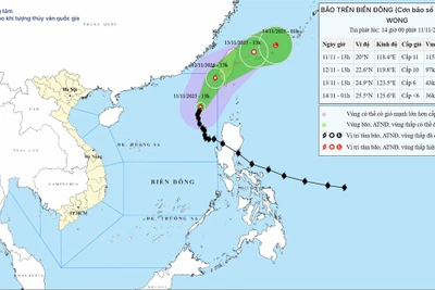 Bản đồ dự báo quỹ đạo và cường độ bão số 14 phát lúc 14 giờ ngày 11/11.