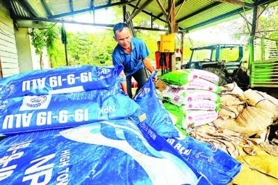 Nhiều năm liền, ông A Don là nông dân sản xuất, kinh doanh giỏi của xã Đăk Long.