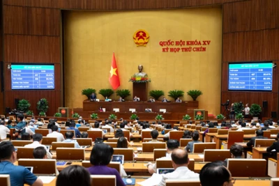 Công chức, viên chức không được thành lập, góp vốn và quản lý doanh nghiệp