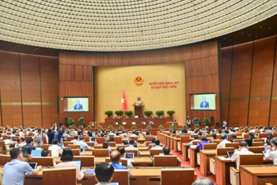 Quốc hội thảo luận về kết quả giám sát việc giải quyết kiến nghị của cử tri, xem xét công tác tổ chức, nhân sự