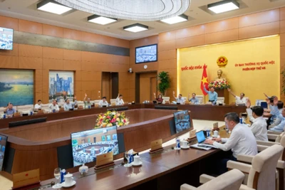 Thông qua về nguyên tắc các nghị quyết về sắp xếp đơn vị hành chính cấp xã năm 2025