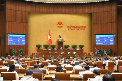 Quang cảnh phiên họp sáng 14/6.