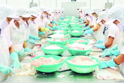 Chế biến cá tra xuất khẩu tại Khu công nghiệp Trà Nóc, thành phố Cần Thơ.