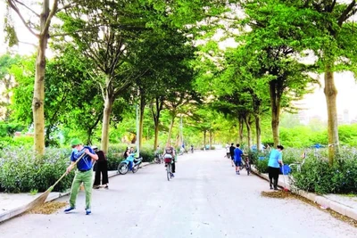 Người dân phường Thanh Liệt tham gia vệ sinh môi trường. (Ảnh NGHIÊM LIÊN)