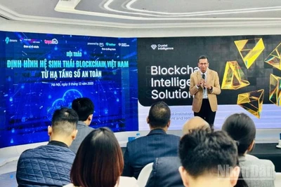 Hội thảo thu hút các chuyên gia trong nước và quốc tế chia sẻ, thảo luận. (Ảnh: HNV)