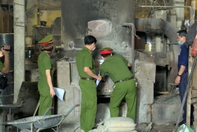 Thủ tướng chỉ đạo điều tra, xử lý nghiêm, triệt để tội phạm về môi trường