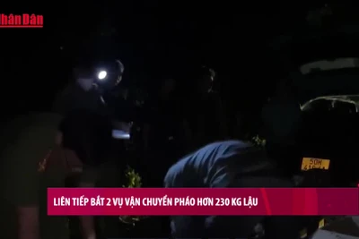[Video] Liên tiếp bắt 2 vụ vận chuyển pháo trái phép hơn 230 kg 