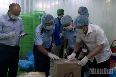 Lực lượng chức năng tỉnh Hậu Giang kiểm tra chất lượng hàng hóa trên thị trường.