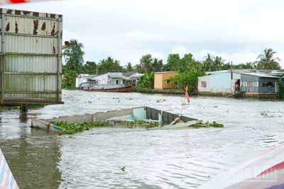 Một vụ sạt lở bờ sông trên địa bàn thành phố Cần Thơ.