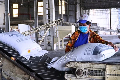 Cần Thơ đặt mục tiêu hằng năm cấp mới hoặc điều chỉnh, bổ sung giấy chứng nhận cho 7-10 doanh nghiệp khoa học và công nghệ.