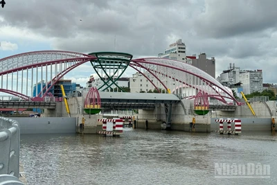 Âu thuyền Cái Khế, thành phố Cần Thơ.