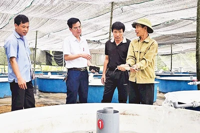 Mô hình Hợp tác xã Cá Tầm bản Sẹc Lống Mìn của gia đình ông Vũ Đình Hoàn (ngoài cùng bên phải) ở xã Quảng Tân.