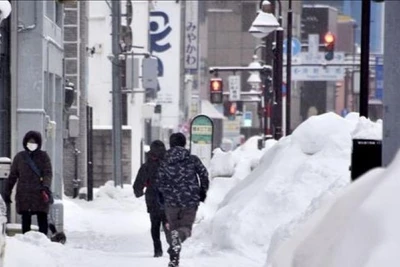 Tuyểt rơi dày ở Nhật bản. (Ảnh tư liệu: Kyodo/TTXVN)