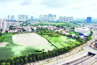 Một khu đất nằm bên đường Mai Chí Thọ thuộc phường Bình Trưng, Thành phố Hồ Chí Minh.