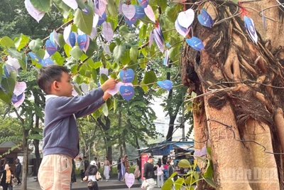 Em bé gửi gắm điều ước lên Cây Hạnh phúc. 