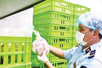 Chi cục Quản lý thị trường thành phố Cần Thơ kiểm tra cơ sở chế biến thực phẩm.