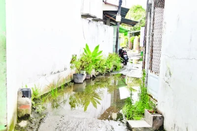 Một đoạn trong khu vực công trình bị ngập, gây bức xúc cho người dân.