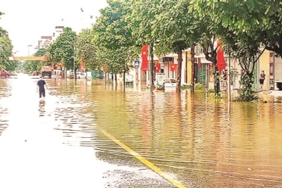 Cứ mưa lớn là nhiều điểm trên địa bàn thành phố Thái Nguyên ngập.