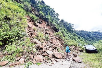 Sạt lở đất, đá trên tuyến đường Hồ Chí Minh nhánh tây gây ách tắc giao thông.