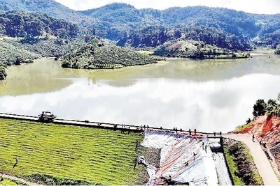 Lực lượng chức năng xử lý sự cố sạt trượt vai đập chính hồ thủy lợi Cay An, xã Tà Năng, tỉnh Lâm Đồng.