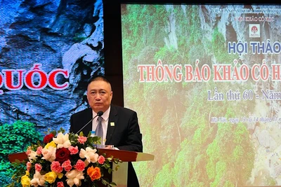 Tiến sĩ Hà Văn Cẩn, Viện trưởng Viện Khảo cổ học, phát biểu khai mạc hội thảo.