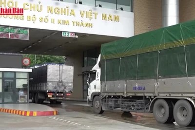 [Video] Khẩn trương hướng dẫn kiểm tra thực phẩm nhập khẩu, không để ách tắc