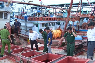 Lực lượng chức năng kiểm tra phương tiện khai thác thủy sản tại Cảng cá Trần Đề.