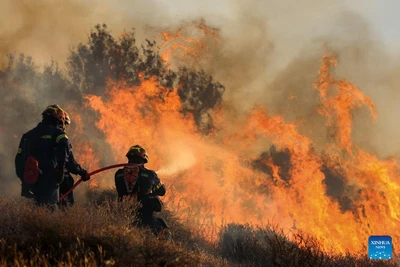 Lính cứu hỏa nỗ lực dập tắt ngọn lửa đang thiêu rụi các khu rừng và đất nông nghiệp gần Ierapetra trên đảo Crete, Hy Lạp. (Ảnh: THX)