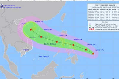 Vị trí bão Bualoi sáng nay.