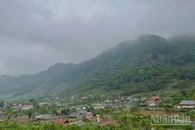 Dự báo khu vực vùng núi và trung du Bắc Bộ có mưa rào và dông rải rác. Ảnh minh họa: Đ.T