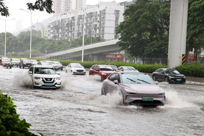 Các phương tiện giao thông di chuyển qua khu vực ngập lụt ở Thâm Quyến, tỉnh Quảng Đông, miền nam Trung Quốc, ngày 20/7 sau khi bão Wipha đổ bộ vào tỉnh này hồi 18 giờ 50 phút. (Ảnh: Tân Hoa xã) 