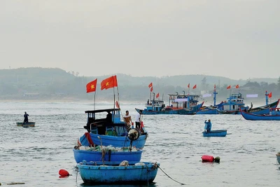 Ngư dân Quảng Ngãi vươn khơi bám biển, thực hiện nghiêm quy định chống khai thác IUU. (Ảnh: LƯU HƯƠNG)