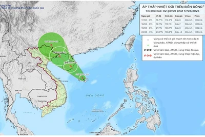 Bản đồ dự báo quỹ đạo và cường độ áp thấp nhiệt đới lúc 2 giờ ngày 17/8/.