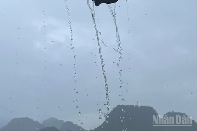 Lào Cai và Tuyên Quang có mưa rào, có nơi trên 80mm. (Ảnh minh họa: Đ.T)