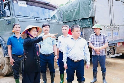 Lãnh đạo ngành Y tế Nghệ An đã có mặt kịp thời ở các điểm nóng để chỉ đạo công tác xử lý môi trường, phòng chống dịch bệnh sau lũ.